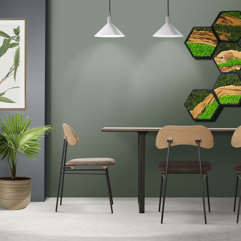 Hexagon Moss Wall