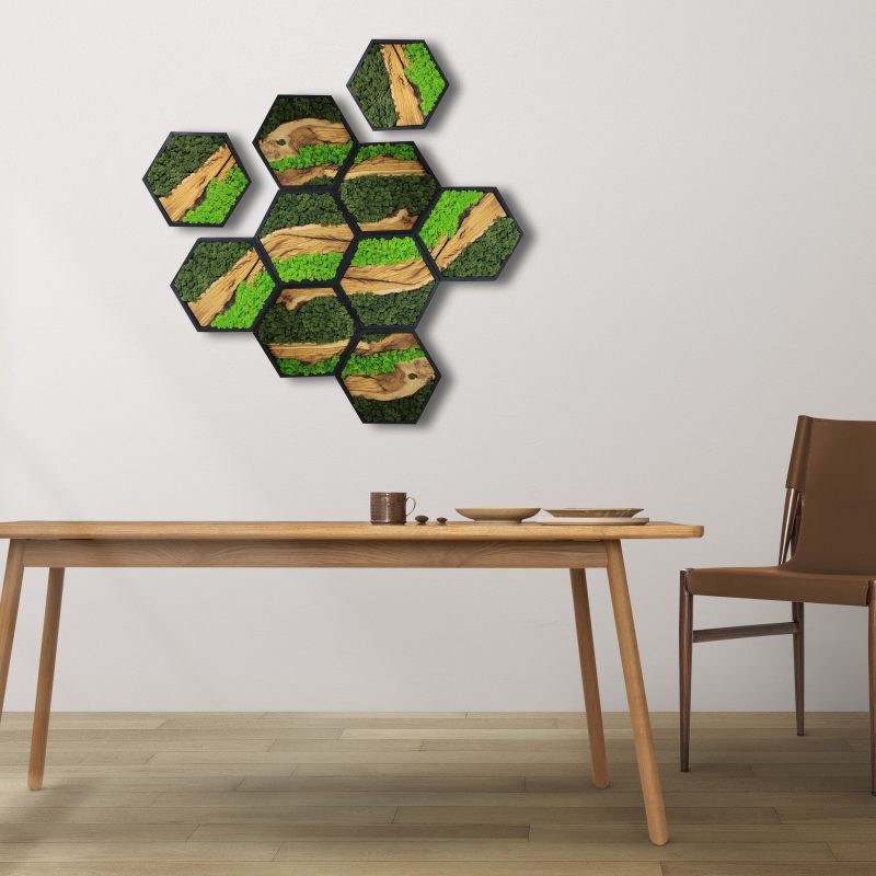 Hex Moss Wall